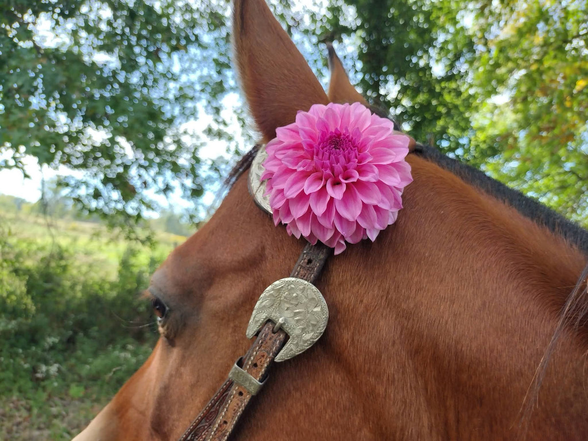 River's Bubblegum (limited stock)